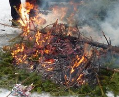 burningWeihnachtsbaum